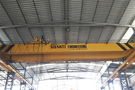 Eot Crane Manufacturer India