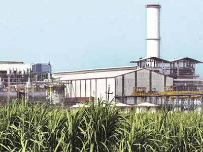 Industrial Crane Suppliers for sugar